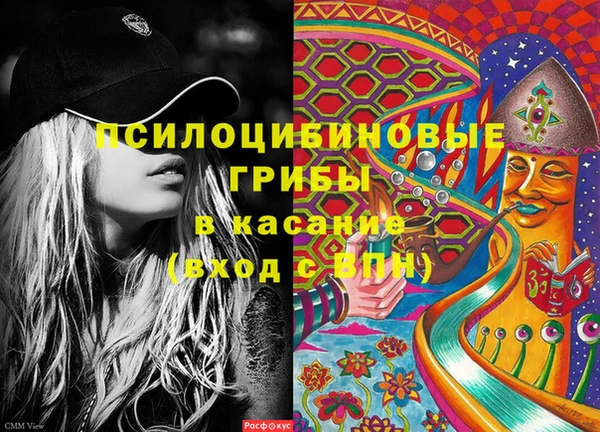 дурь Аркадак