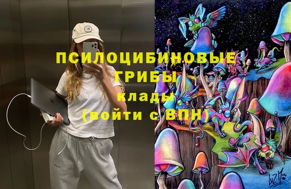 не бодяженный Арсеньев
